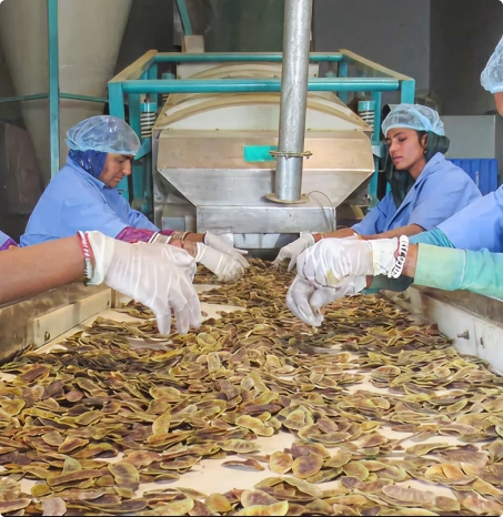 Good hygiene practices