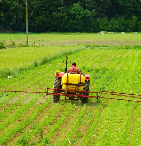 Individual requirements